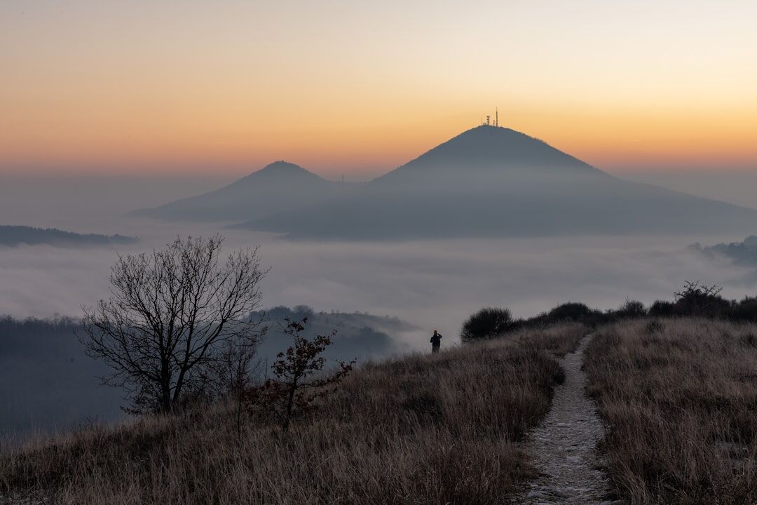 Path through misty hills at sunrise symbolizing personal growth